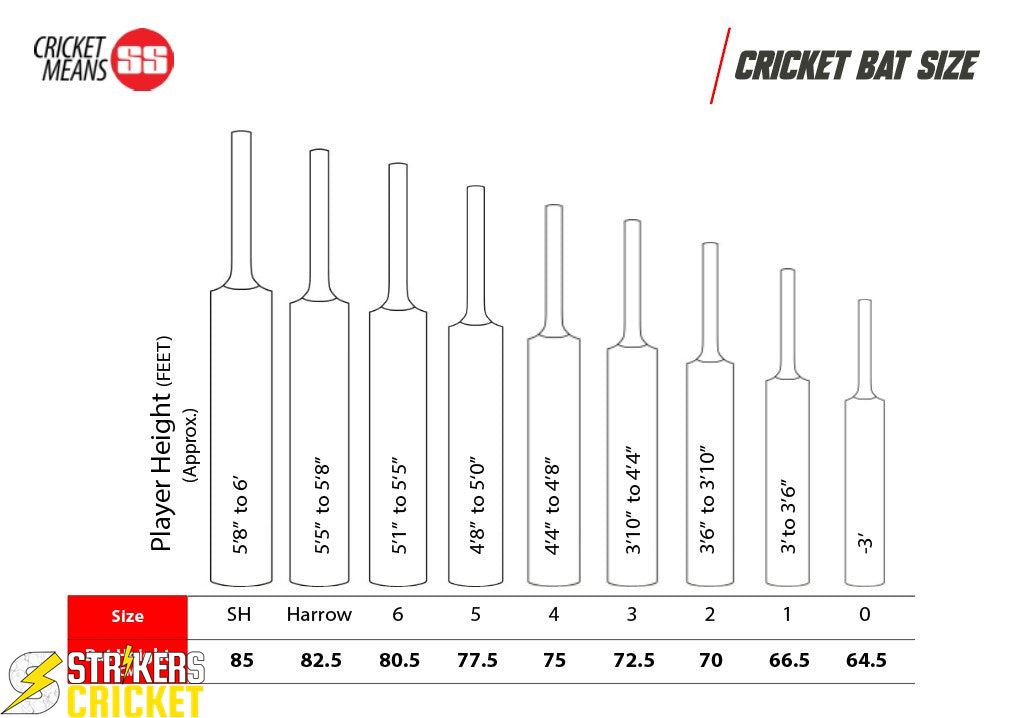 Watermarked - SS Master 9000 English Willow Cricket Bat -SH