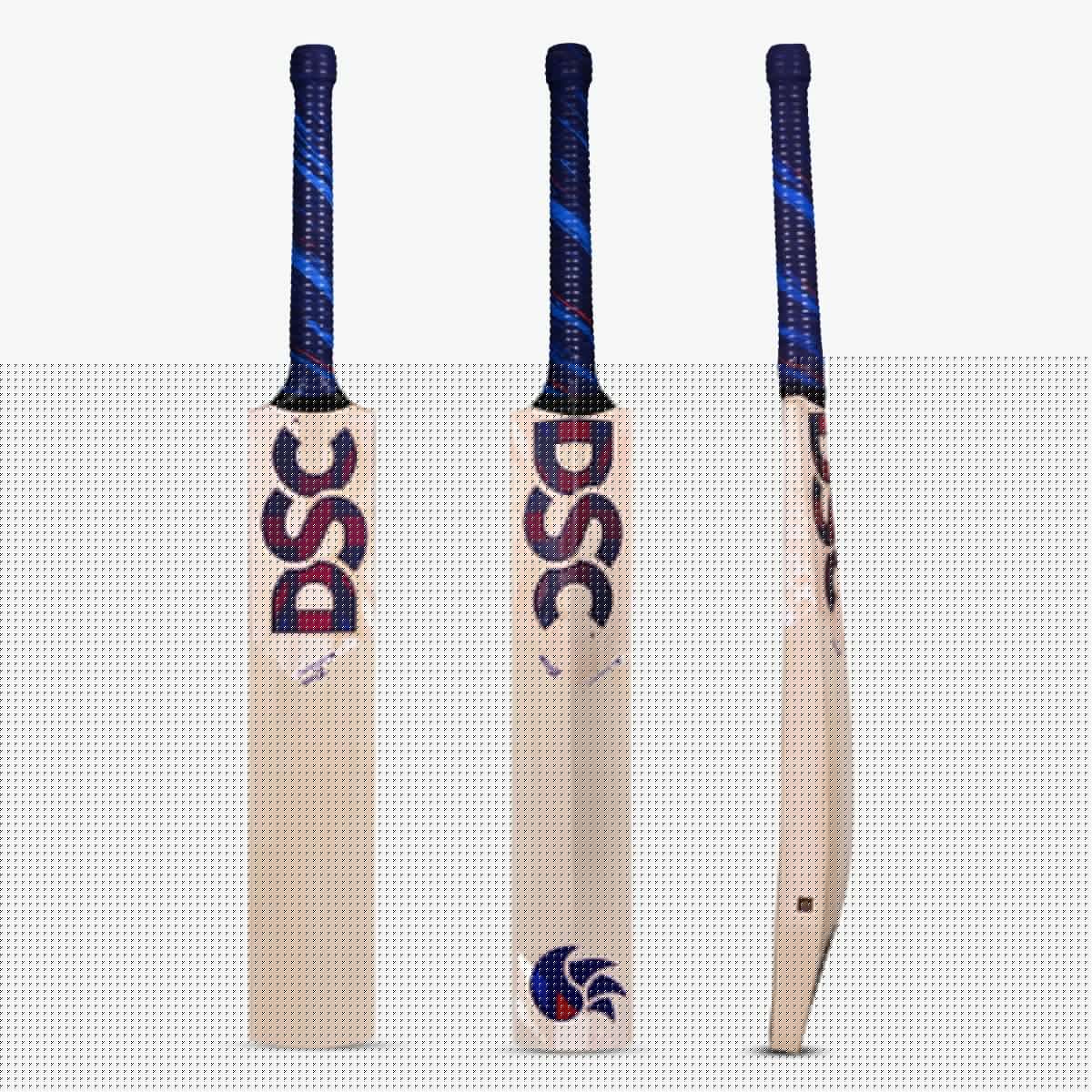 WaleZ English Willow Bat (Made In England)