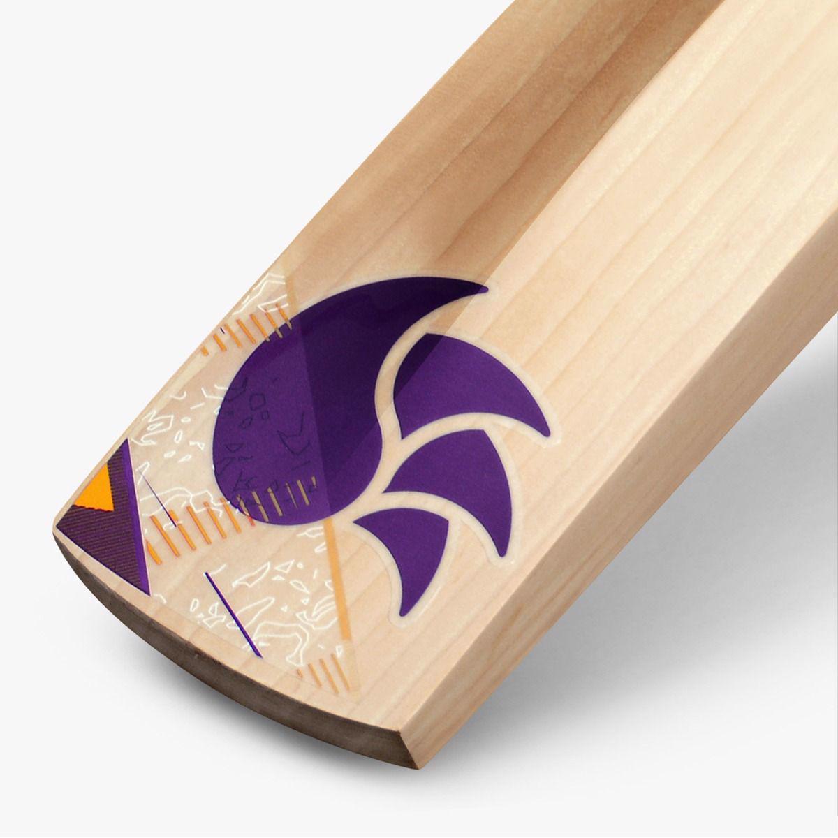 DSC KRUNCH 9000 CRICKET BAT JUNIOR