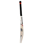 EW MAXXUM FZ 08 EM CRICKET BAT SNR
