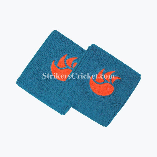 Watermarked - DSC WRISTBAND 2.5"