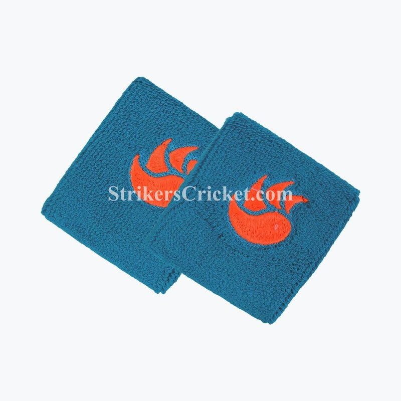 Watermarked - DSC WRISTBAND 2.5"