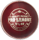 Watermarked - DSC C/LEATHER BALL PRO LEAGUE