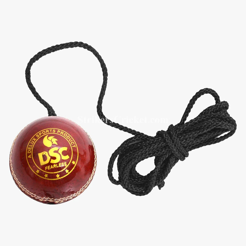 Watermarked - DSC C/LEATHER BALL HANGING
