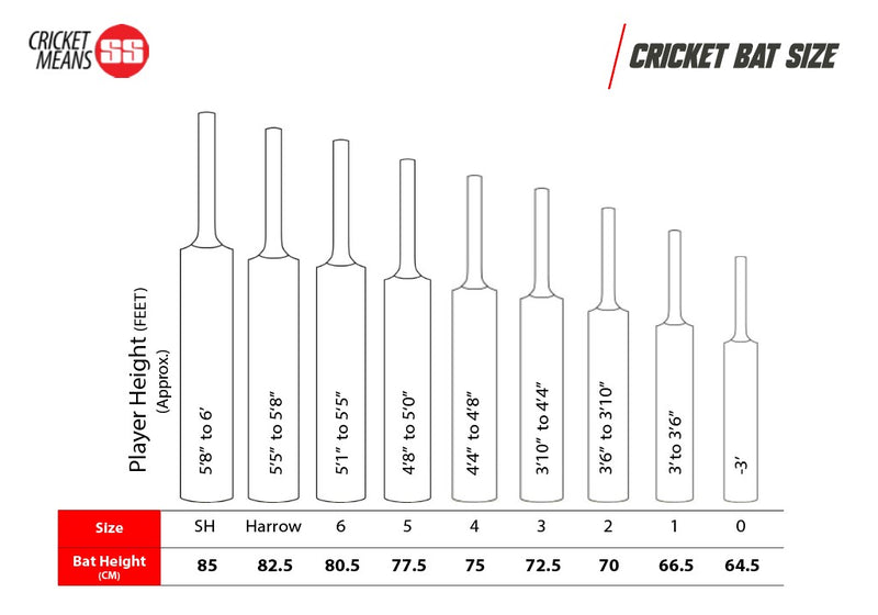 SS Master 9000 English Willow Cricket Bat -SH