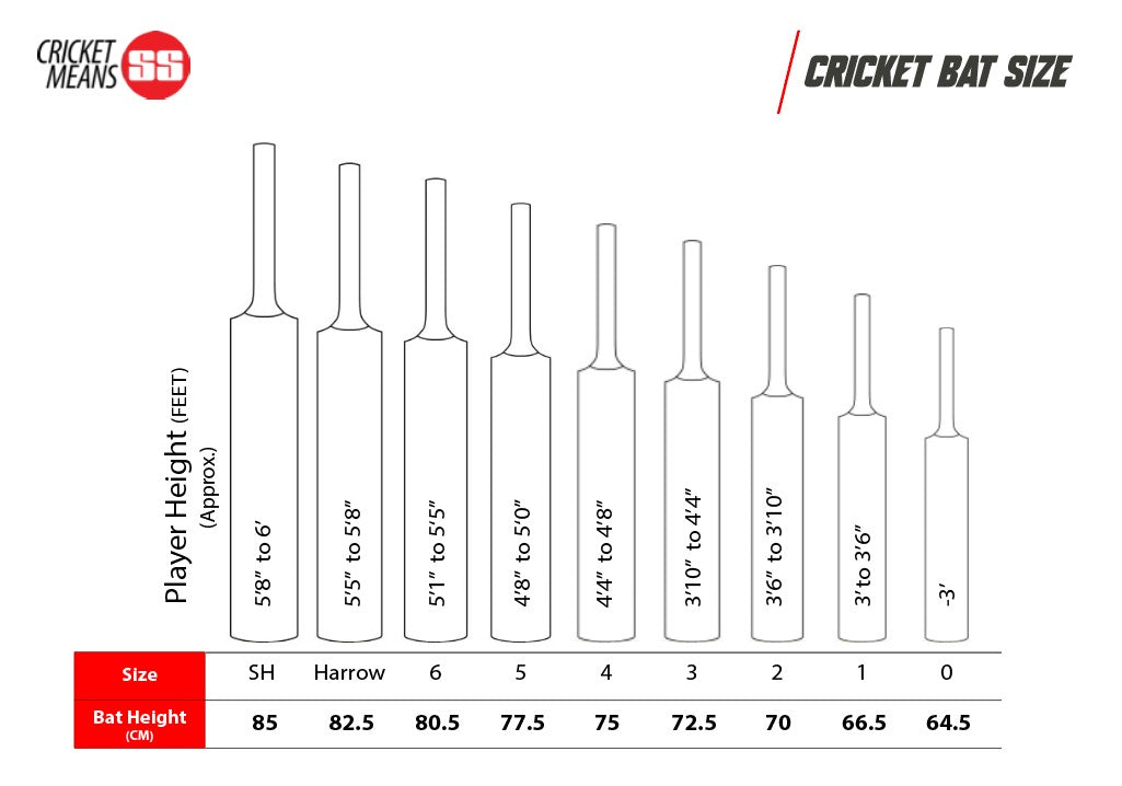 SS Master 2000 English Willow Cricket Bat -SH