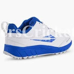 Watermarked - DSC Superstorm BLWH25