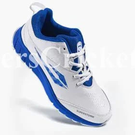 Watermarked - DSC Superstorm BLWH25